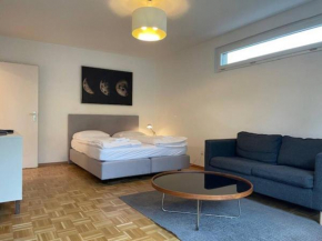 Amazing studio in the city centre - Art 17